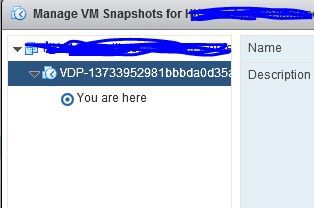 Snapshotmanager2.JPG