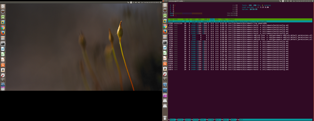 2015-12-03-VMware_Workstation_Host_Ubuntu_Low_Performance_2_de_2.png