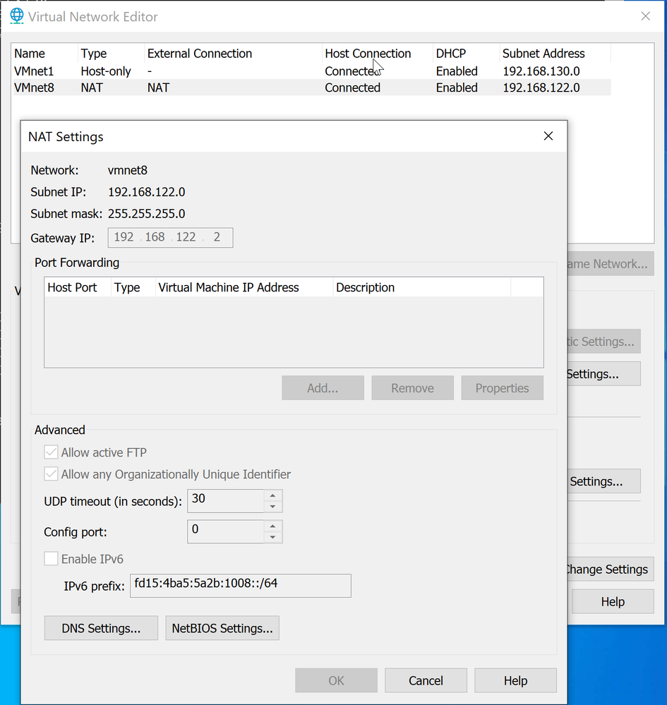 VMware NAT network settings